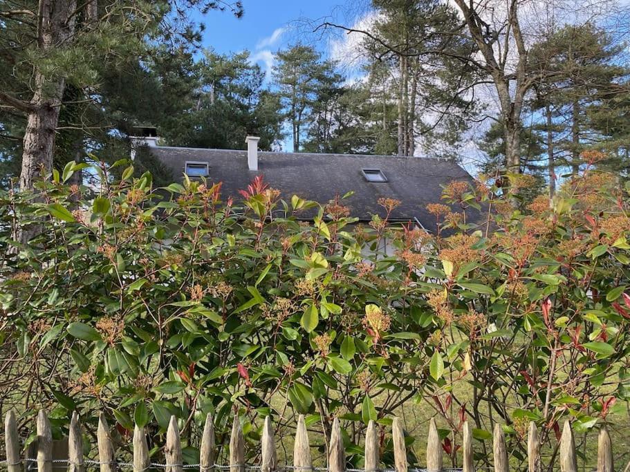Le Rosa: Villa De Charme Entre Mer Et Pinede Quend Esterno foto