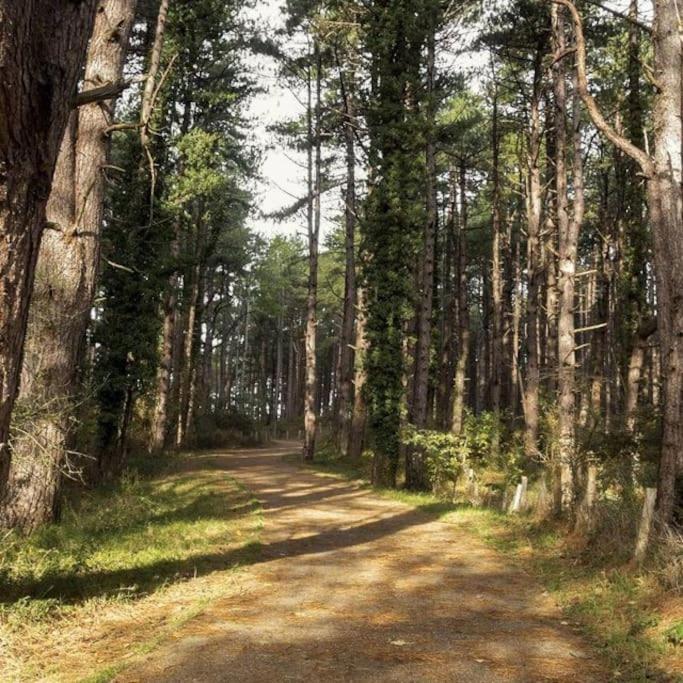 Le Rosa: Villa De Charme Entre Mer Et Pinede Quend Esterno foto